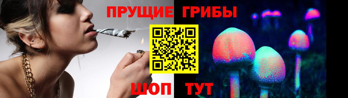 Галлюциногенные грибы GOLDEN TEACHER  Вход с VPN  Галлюциногенные грибы ЛСД  Гусев 