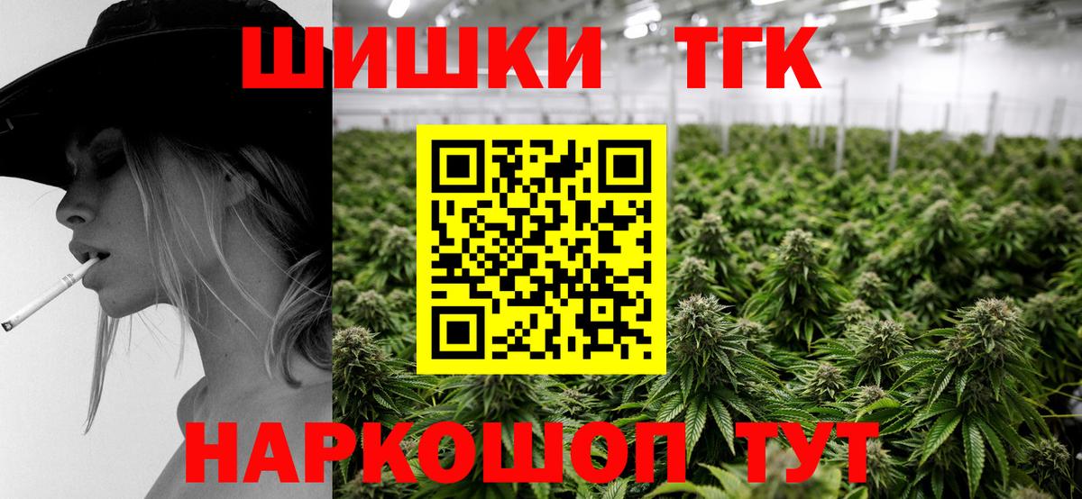Конопля планчик Гусев